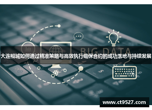 大连鲲城如何通过精准策略与高效执行确保合约的成功落地与持续发展